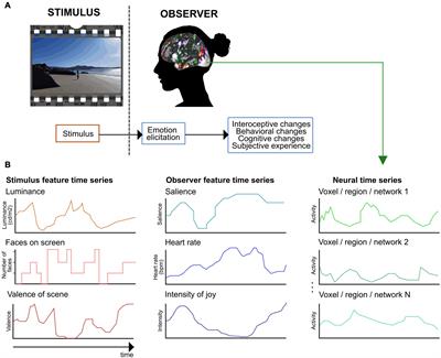 Naturalistic Stimuli in Affective Neuroimaging: A Review